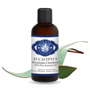 보타닉잉글랜드 천연 아로마 에센셜오일 유칼립투스 시트리오도라 100ml 시트리오디올 레몬 유칼립투스 테라피등급