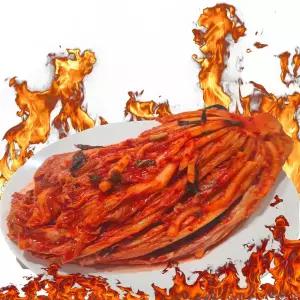 오늘애 죽을만큼 매운 실비김치 2,3,5 kg