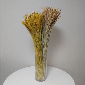 가을장식 벼모형 벼이삭 곡식 가든 짚단 촬영 가든소품 추수감사 장식 꽃꽃이