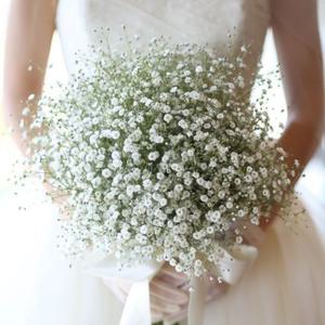 셀프웨딩 부케 안개꽃 생화 꽃다발 플랜테리어 생화인테리어