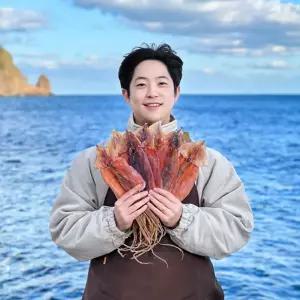 슈퍼스퀴드 울릉도 마른오징어 반건조오징어 동해안 피데기 건오징어 당일바리 5마리