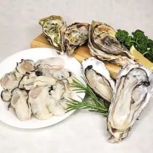 국내산 통영 굴 석화 5kg 각굴 하프쉘 생굴 각굴 반각굴 횟감 찜 구이용