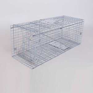 두더지 포획기 야생동물 제품 트랩 고양이 너구리 유도 쥐덫