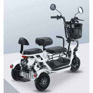 세발 전기자전거 삼발이 출퇴근용 라이딩 바이크 차