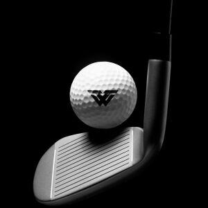 센트라이트 고반발골프공 스크린 비거리골프공 선물 1구