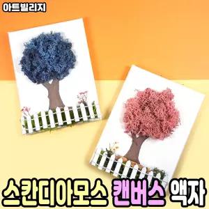 스칸디아모스 캔버스 액자 만들기 천연이끼 공기정화 음지식물
