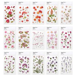 어프리 압화 스티커 다꾸 드라이 플라워 감성 자연 꽃 데코 투명 북마크 식물 동물 풍경 빈티지 누름 책갈피 만들기