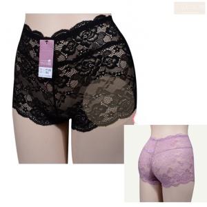 여자 여성 사각 팬티 드로즈 드로우즈 망사 비치는 시스루 언더웨어 속옷