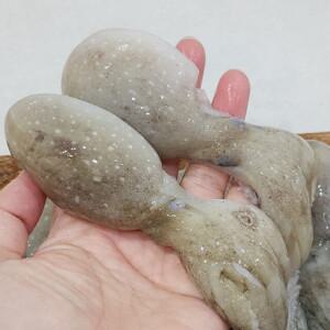 대왕 통쭈꾸미 주꾸미 냉동 1kg