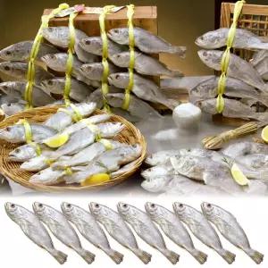 영광 법성포 서상인 장인 민어굴비 보양식 제수용 명품 반건조 손질 생선 찜 조림 구이 민어 굴비 8마리