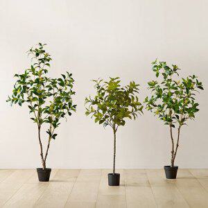 룸앤홈 리얼 오렌지자스민 조화나무 135