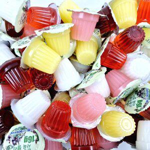 프리미엄 곤충젤리 혼합 5가지맛 16g 100P 사슴벌레 장수풍뎅이 곤충 먹이 사육 젤리