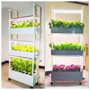 안에서 쑥쑥 재배 가정용 LED 재배기 상추 조명 제품 2단 식물재배기 단층 수경 수배탱크