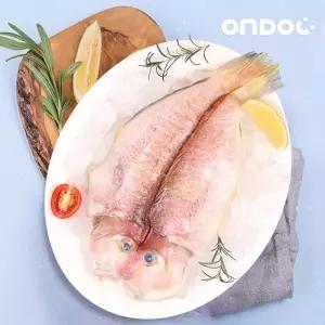 [온도씨]제주 옥돔 중 1마리 (팩당180g내외)