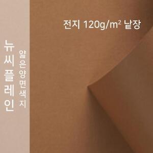종이문화 뉴씨플레인 얇은 양면 색상지 120g 전지 No.23 황토색 낱장 1매 색도화지 색지