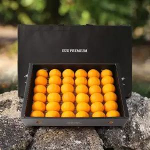 명품제주 프리미엄 비가림 귤 선물세트(로얄과) 4.5kg