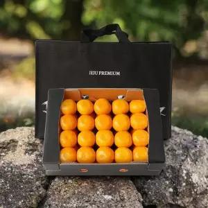 명품제주 프리미엄 비가림 귤 선물세트(로얄과) 3kg