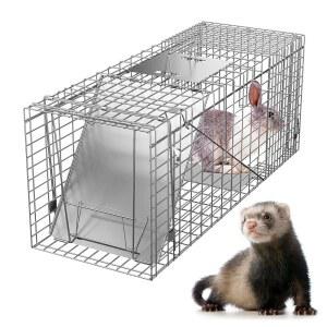 홈그루브 라이브 동물 케이지 트랩, 31인치 인도식 포획 아연 도금 다리미, 토끼, 길고양이, 다람쥐, 너구리, 갈퀴, 주머니쥐를 위한 손잡이가 달린 접이식 트랩(31인치)