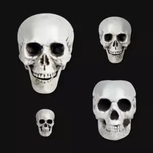 해골 모형 머리 두개골 뇌 골격 인체 뼈 사람 해부학 교육용 미술용 실습 교구 대중소