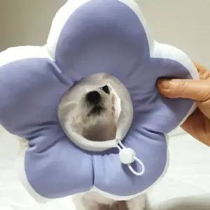 강아지넥카라 애견 쿠션 깔때기 꼬깔 퍼플 M