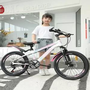 22인치자전거 주니어 초등 저학년 입문용 자전거 22인치