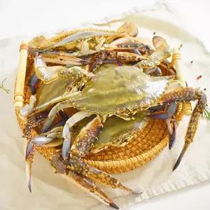 연안 활 숫꽃게 1kg(3~6미 내외)