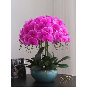 서양난 조화 화분 장식 행운 세트 꽃잎 호접란 거실 카페 개업선물