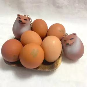 계란모양 시바견 키링 열쇠고리