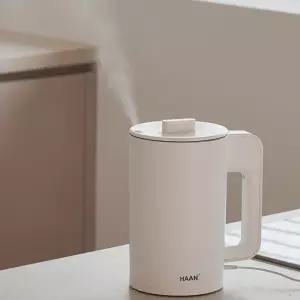 HAAN 자동습도조절 간편통세척 SUS316스텐레스 저소음 초음파가습기 3L/사무실 가정용 아기가습기