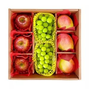 도담 프리미엄 3종 과일선물세트 3호(애플망고+샤인머스켓+사과)