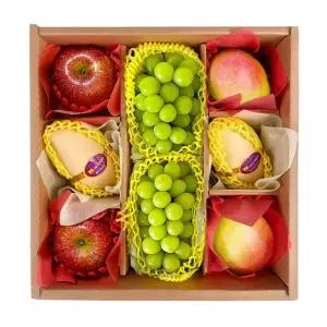 도담 프리미엄 4종 과일선물세트 1호(사과+샤인머스켓+골드망고+애플망고)