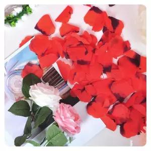 (100개입) (PW) 이벤트꽃잎조화 레드 파티 장식소품/기념일/인테리어/소품/꽃잎/인조/조화/이벤트/컨페티