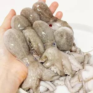 오동통 손질 쭈꾸미 1kg 