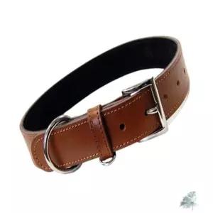 별하샤인 아델라 가죽 목줄 35MM 다크브라운 대형견목줄 불독목줄 강아지반려견목줄
