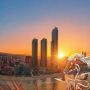 [부산] 엑스더스카이 전망대 해돋이 패키지/해운대 데이트/전망대스타벅스/핫플/가볼만한곳/야경/경치/명소/감상