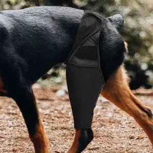 [셀러에이드]통깁스 스트랩 고관절 보호대 강아지 XL 슬개골