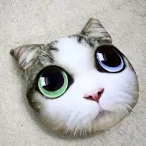 고양이 쿠션깔끔한 쿠션커버 수면쿠션