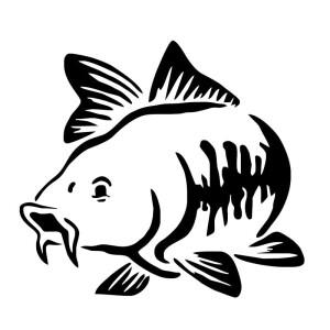 Y330A  자동차 스티커 패션 재미 잉어 물고기 동물 장식 액세서리 방수 커버 스크래치