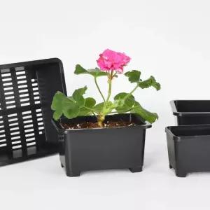 마이플랜트 삽목 큐브 화분 플라스틱 미니 다육 사각 화분 인테리어 가드닝 소품