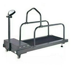 대형견 런닝머신 펫휠 실내 저소음 C100 트레드밀