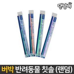 [버박] 강아지/고양이 미니 칫솔 x 3P / 랜덤발송
