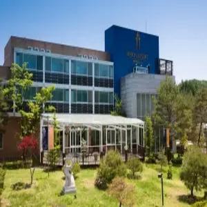 [강원 호텔] 베리온리조트 (평창)