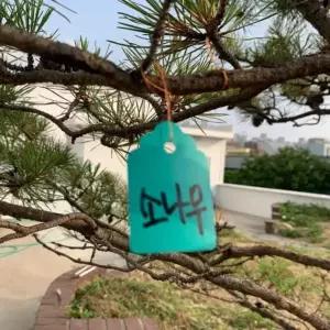 [셀러에이드]식물 식별 이름표 걸이형 라벨 정원