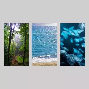 [이에이(iei)] 감성 쉬폰 패브릭 포스터 햇살 비치는 창문 자체제작 자연 풍경 공간 분리