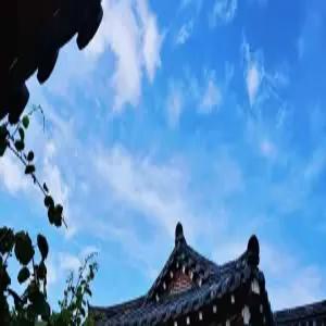 [경북] 경주 보문 숲머리 독채 민박(경북숙소/경주숙소)