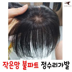 남여공용 소형불파트(5x8) 정수리가발 인모100% 정수리커버