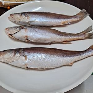 반건조민어조기 제수용및반찬용 30 cm이상 3마리
