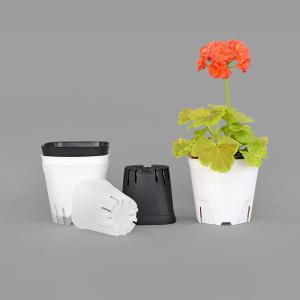 사각 원형 슬릿 화분 슬릿분 분갈이 투명 다육이 미니화분