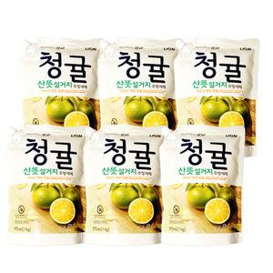 참그린 청귤 산뜻 설거지 주방세제 보충형 리필 1kg x6개