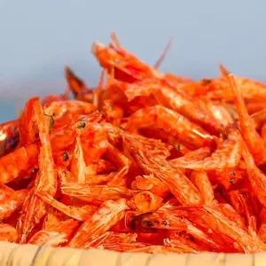 [해남미소] 땅끝어부 햇 꽃새우